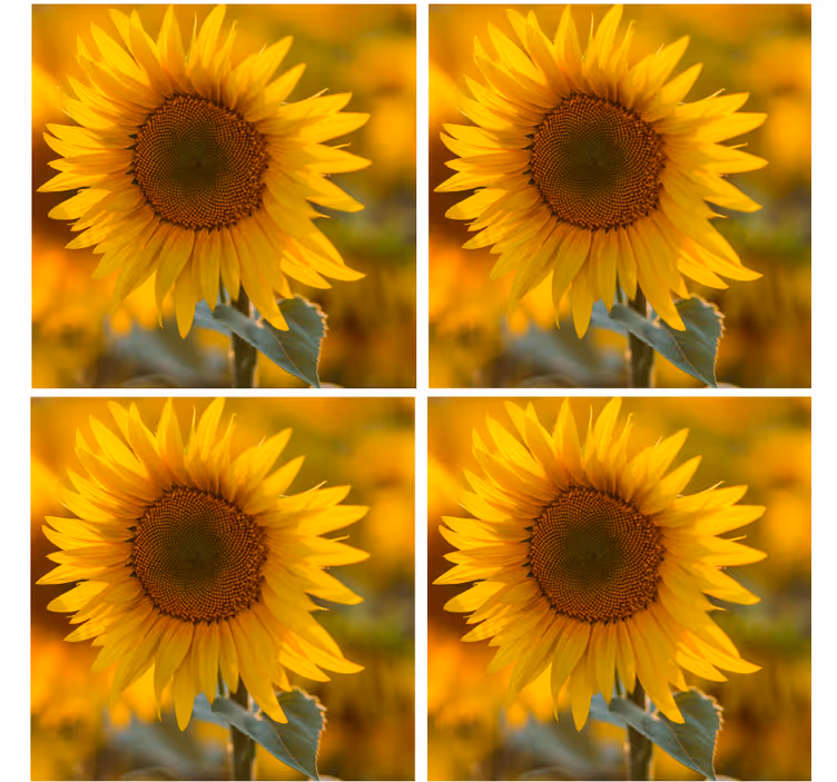Portavasos moderno arreglo de girasoles vibrantes - TenVinilo