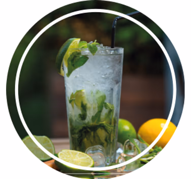 Portavasos moderno bebida refrescante de menta - TenVinilo