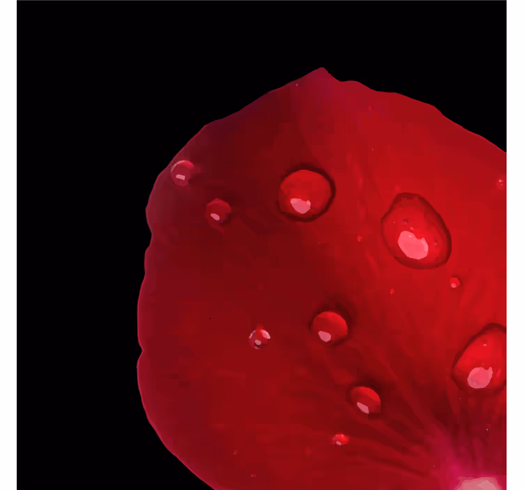 Portavasos pétalo de rosa húmedo - TenVinilo