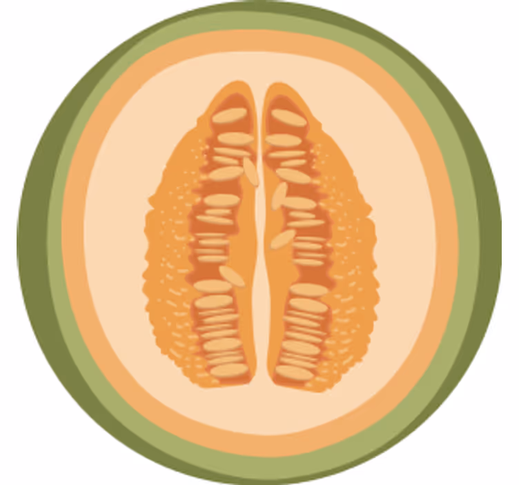 Posavasos moderno Conjunto de dibujos animados de frutas en rodaj - TenVinilo