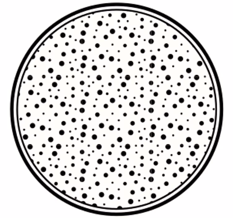 Portavasos patrón de puntos negros - TenVinilo