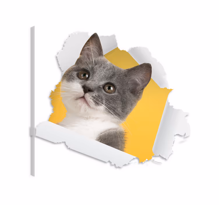 Cuadro de gatos sticker 3d de gato - TenVinilo