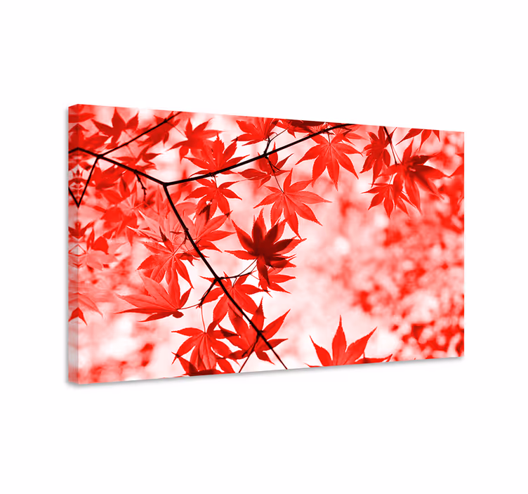 Cuadro árboles Árboles hojas rojas - TenVinilo
