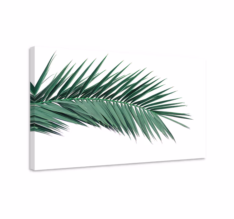 Cuadro plantas Hoja de planta tropical - TenVinilo