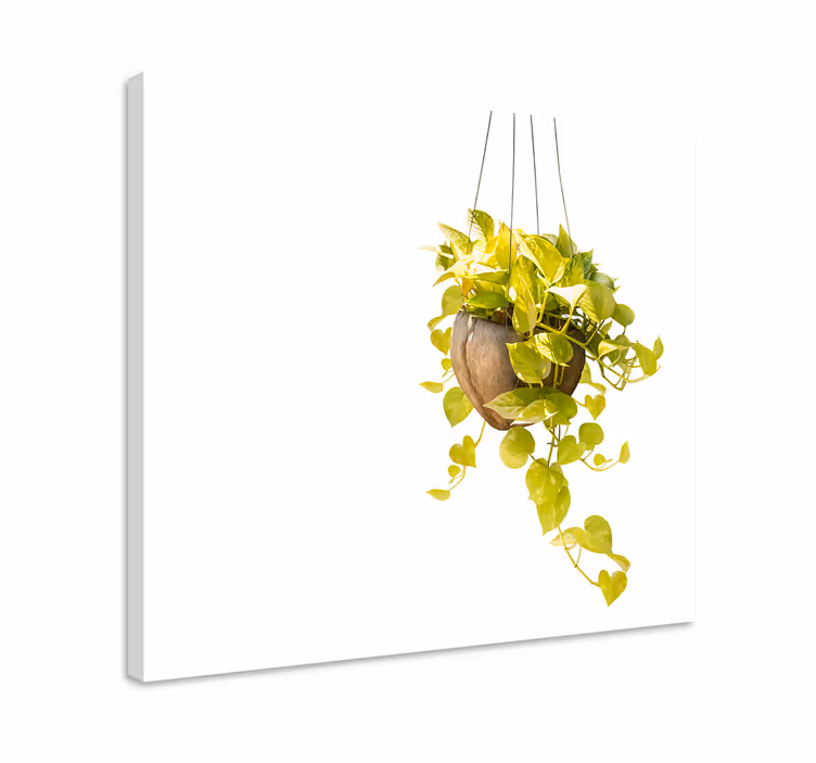 Cuadro de flores arreglo de plantas colgantes - TenVinilo