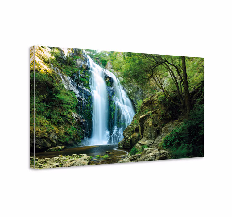 Cuadro árboles Cascada en el bosque - TenVinilo