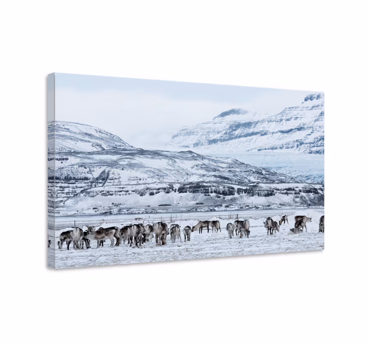 Cuadro ciervos en paisaje nevado - TenVinilo