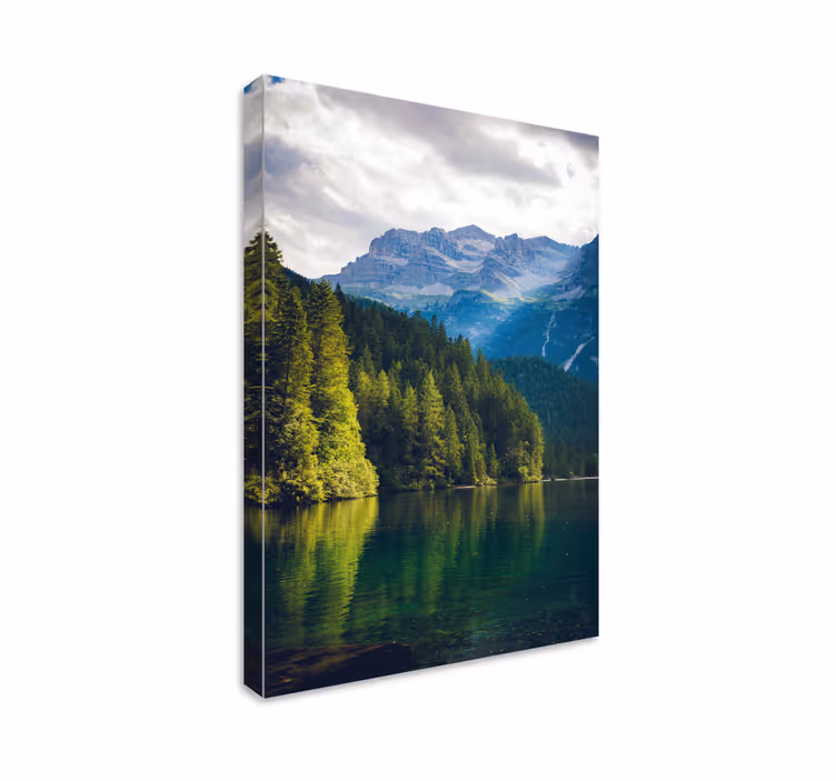 Cuadro paisajes Lago y bosque natural - TenVinilo