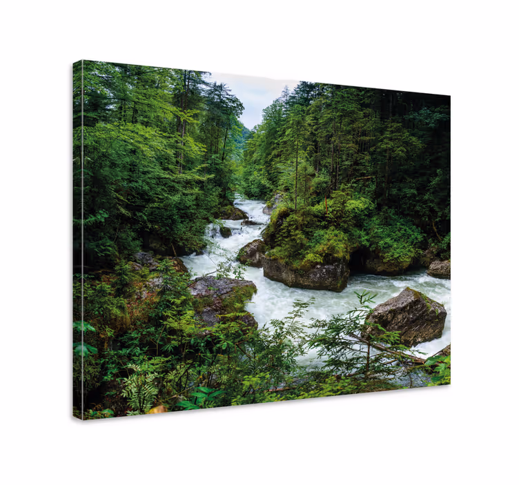 Cuadro paisajes paisaje sereno del río - TenVinilo