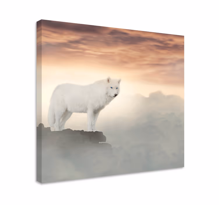 Cuadro animales Lobo blanco en la montaña - TenVinilo