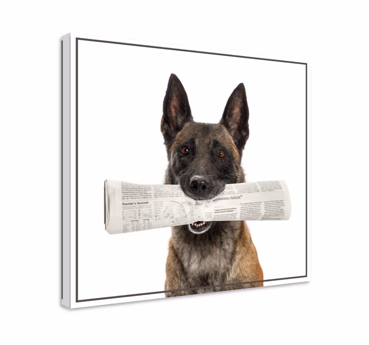 Cuadro perro Perro con periódico - TenVinilo