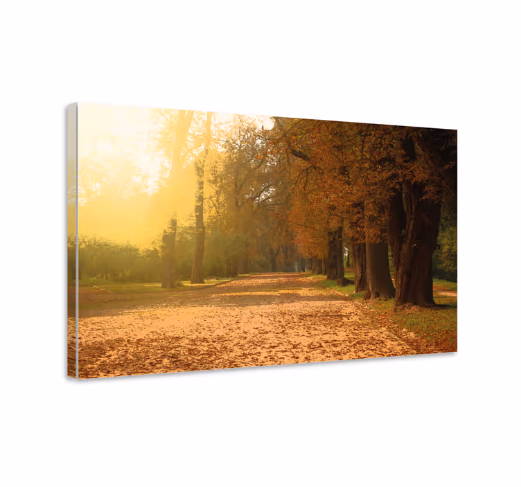 Cuadro paisajes sendero de otoño - TenVinilo