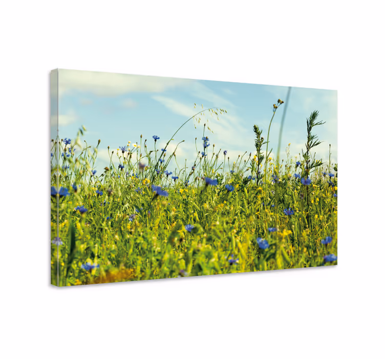 Cuadro de flores paisaje de pradera silvestre - TenVinilo