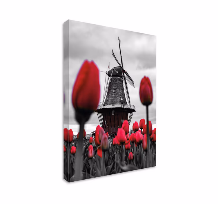 Cuadro de flores Campo de tulipanes con molino de viento - TenVinilo