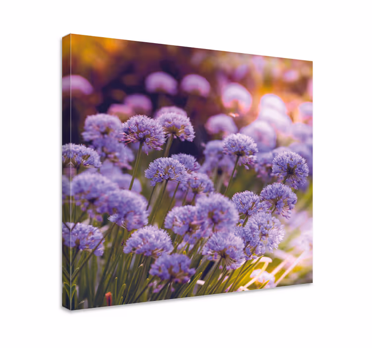 Cuadro de flores flores moradas vibrantes - TenVinilo