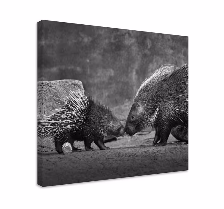 Cuadro animales Puercoespín con bebé - TenVinilo