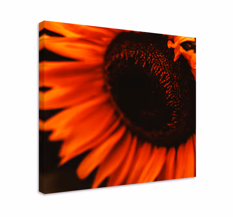 Cuadro de flores radiante flor de girasol - TenVinilo