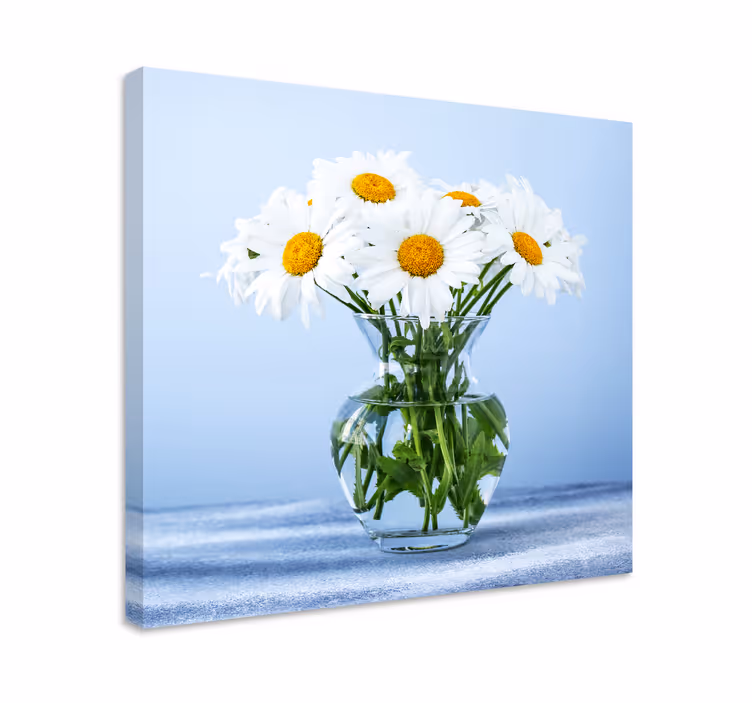 Cuadro de flores margaritas en cristal - TenVinilo