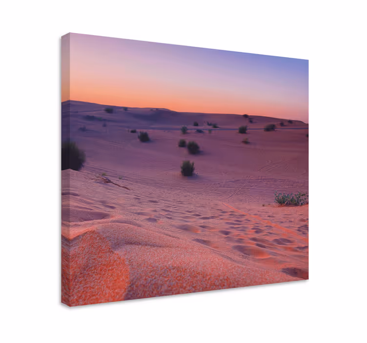 Cuadro paisajes Desierto durante la puesta de sol - TenVinilo