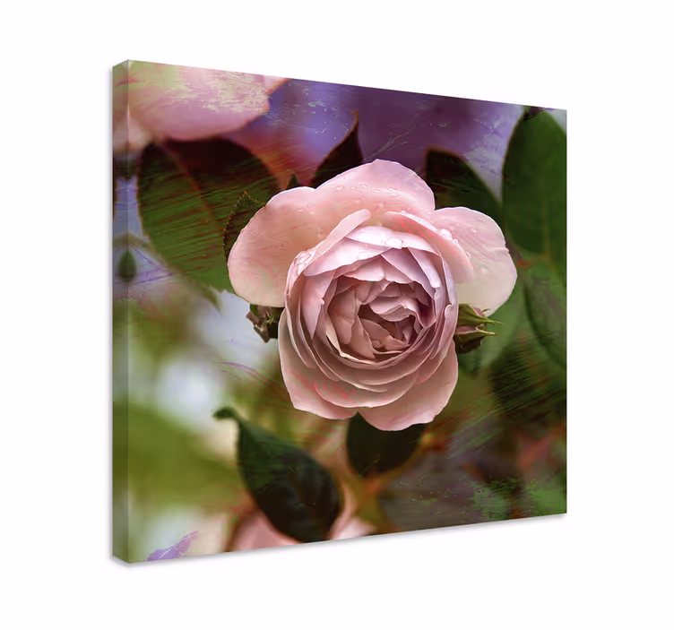 Cuadro de flores flor de rosa rosa - TenVinilo