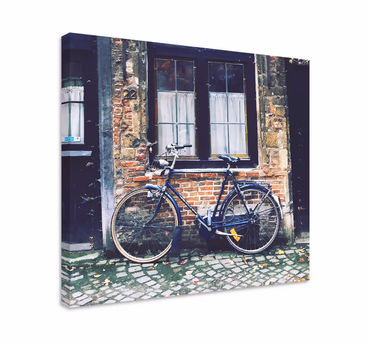 Cuadro para salón Bicicleta en frente de una casa - TenVinilo