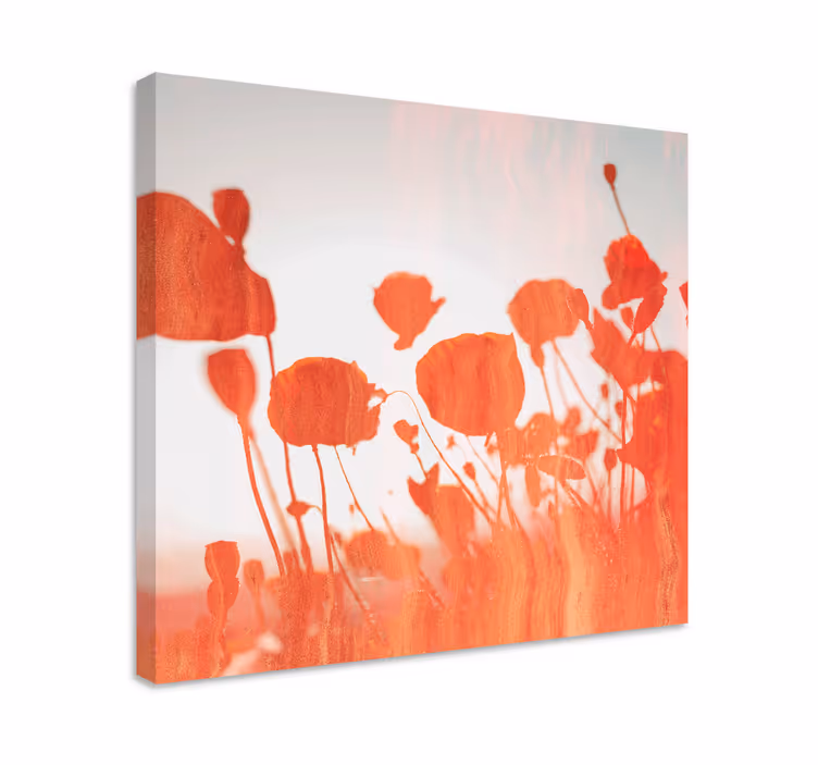 Cuadro de flores amapolas delicadas en flor - TenVinilo