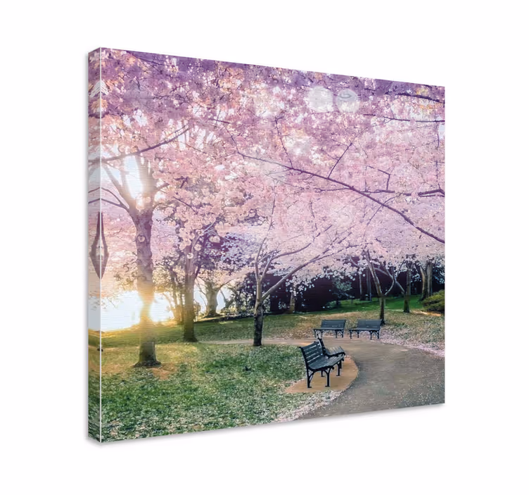 Cuadro de flores Jardín con flor rosa en los árboles - TenVinilo