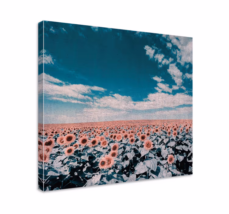 Cuadro de flores Campo de gran amarillo - TenVinilo