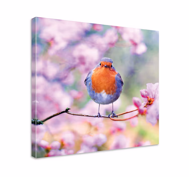 Cuadro de flores Pajaritos en un árbol en flor - TenVinilo