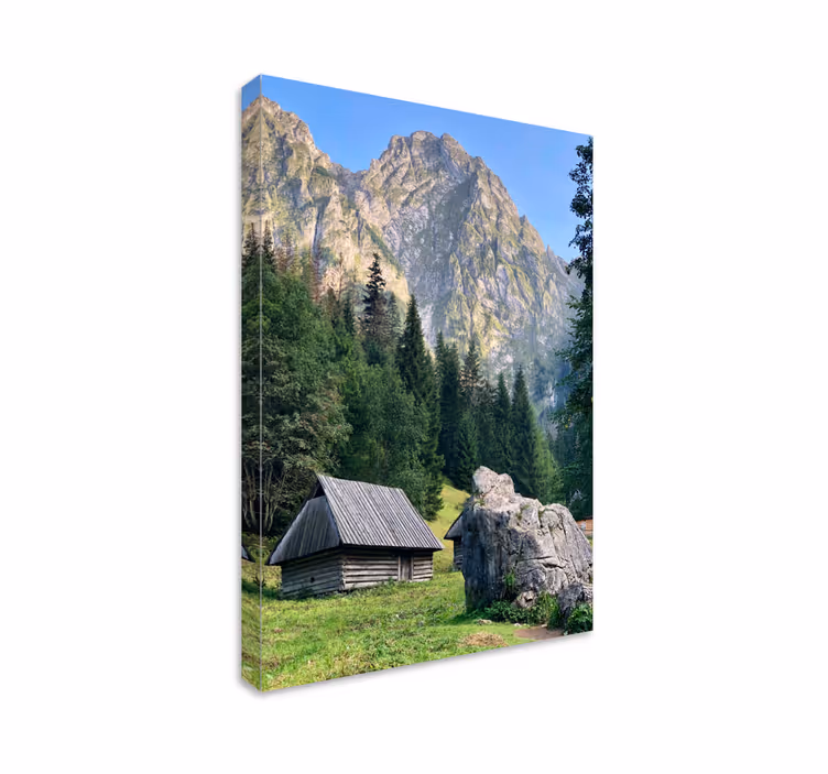 Cuadro paisajes escena de bosque montañoso - TenVinilo