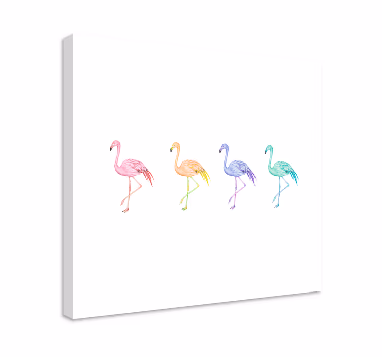 Cuadro aves colección de flamencos diversos - TenVinilo