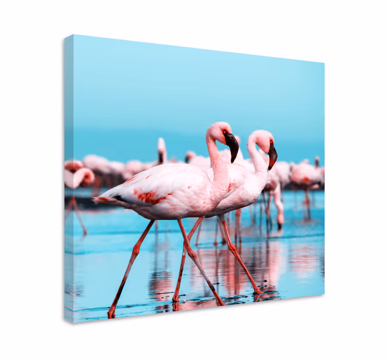 Cuadro aves flamencos rosados majestuosos - TenVinilo