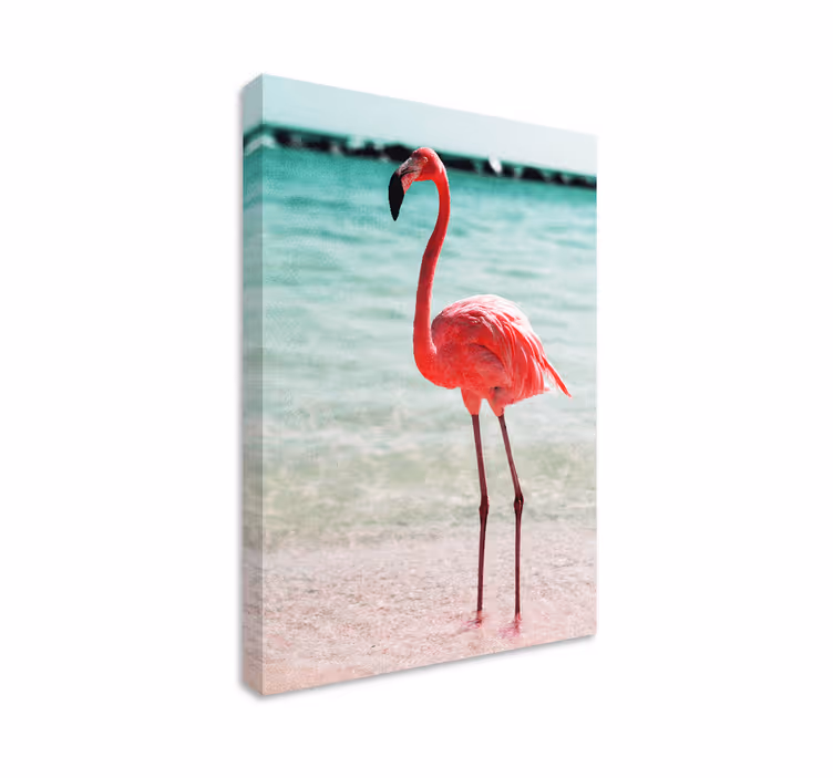 Cuadro aves elegante postura de flamenco - TenVinilo