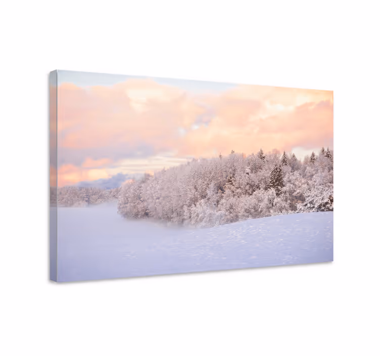 Cuadro paisajes Bosque de color pastel con niebla - TenVinilo