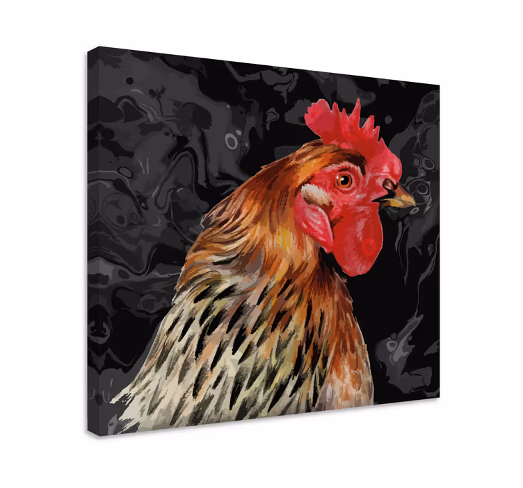 Cuadro aves Gallo multicolor sobre fondo negro - TenVinilo