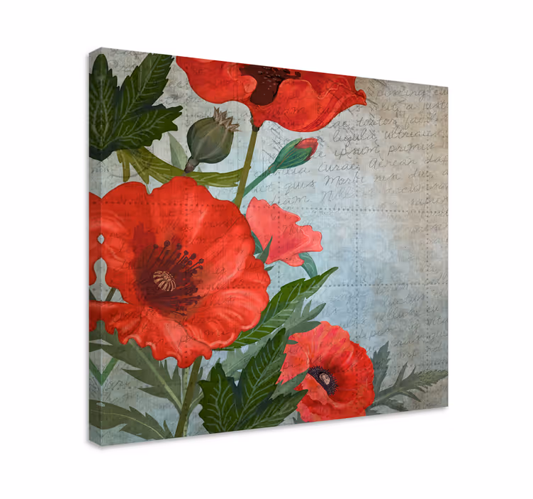 Cuadro de flores Amapolas vintage rojas y blancas - TenVinilo