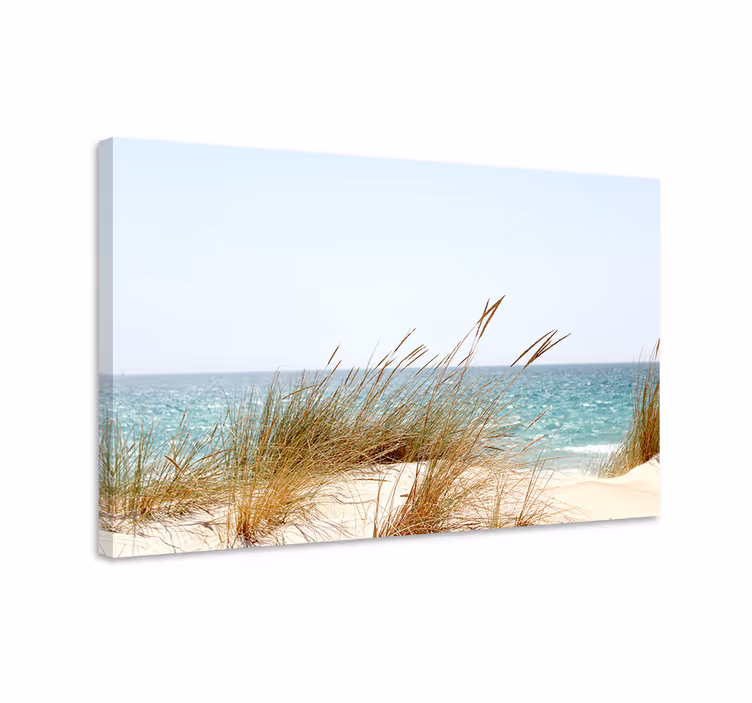 Cuadro paisajes vista de dunas costeras - TenVinilo