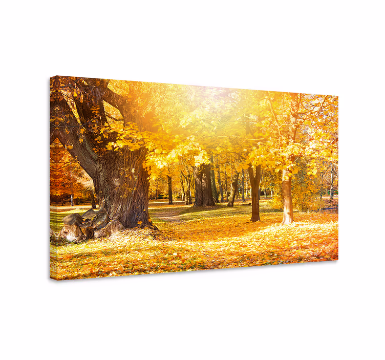 Cuadro de árboles sendero del bosque en otoño - TenVinilo
