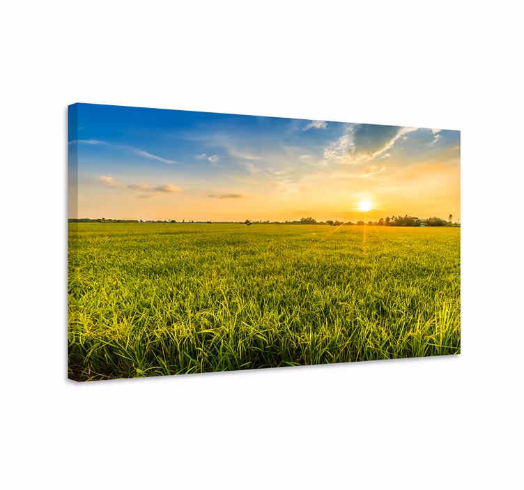 Cuadro paisajes puesta de sol sobre los campos - TenVinilo