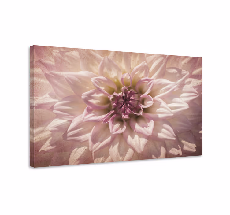 Cuadro de flores Dalia rosa - TenVinilo