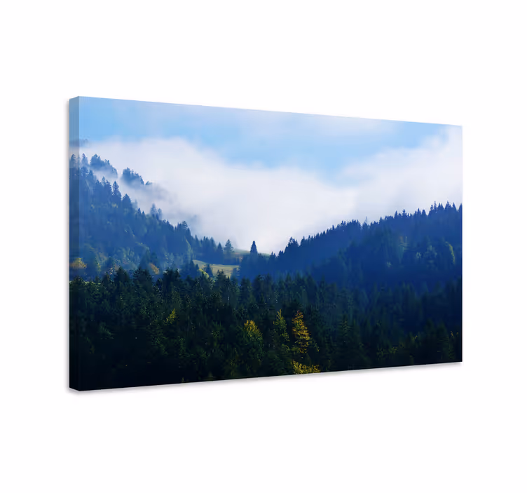 Cuadro paisajes picos majestuosos del bosque - TenVinilo