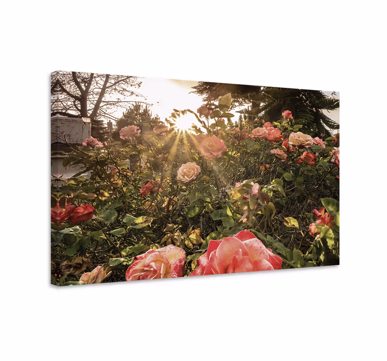 Cuadro de flores rosas radiantes en flor - TenVinilo
