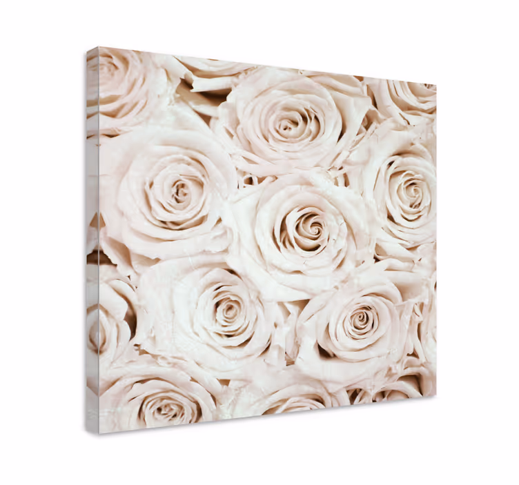 Cuadro de flores capullo de rosa suave - TenVinilo