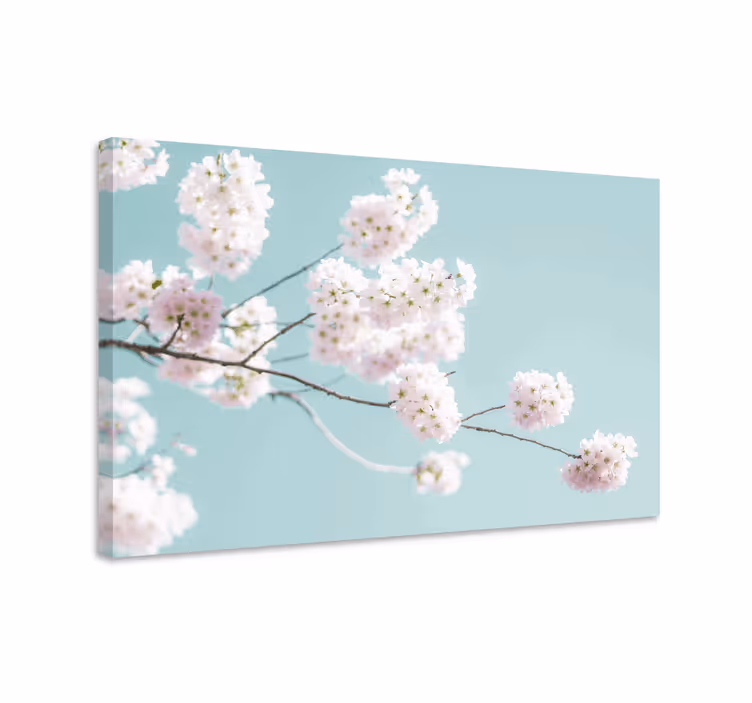 Cuadro de flores Flor blanca elegante y femenina - TenVinilo