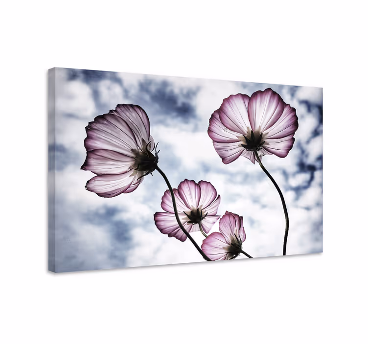 Cuadro de flores Elegante diseño de flor de cosmos púrpura - TenVinilo