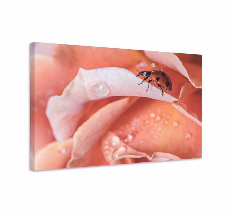 Cuadro animales Elegante estilo mariquita flor rosa - TenVinilo
