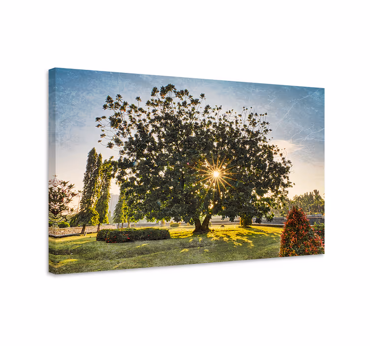 Cuadro de árboles silueta de árbol majestuoso - TenVinilo