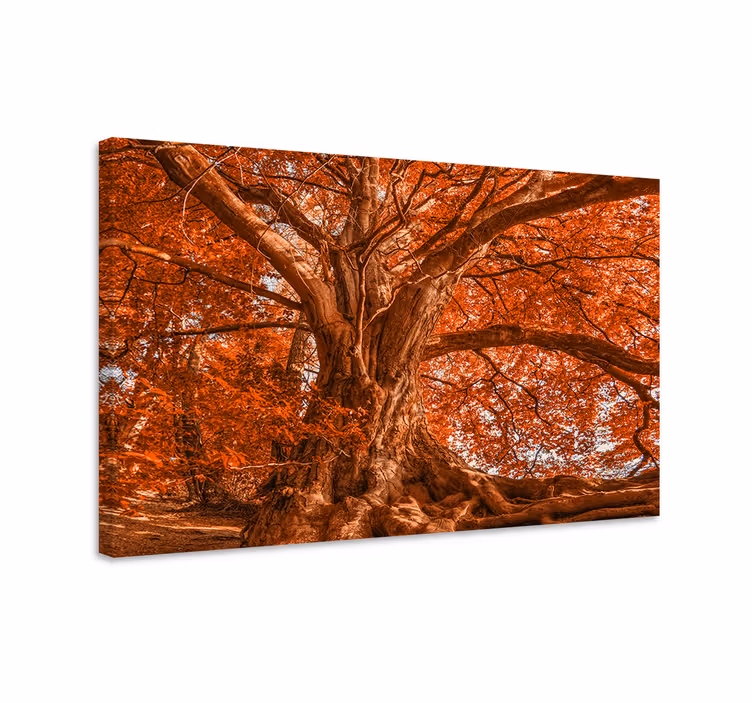 Cuadro paisajes Gran hermoso árbol de otoño - TenVinilo