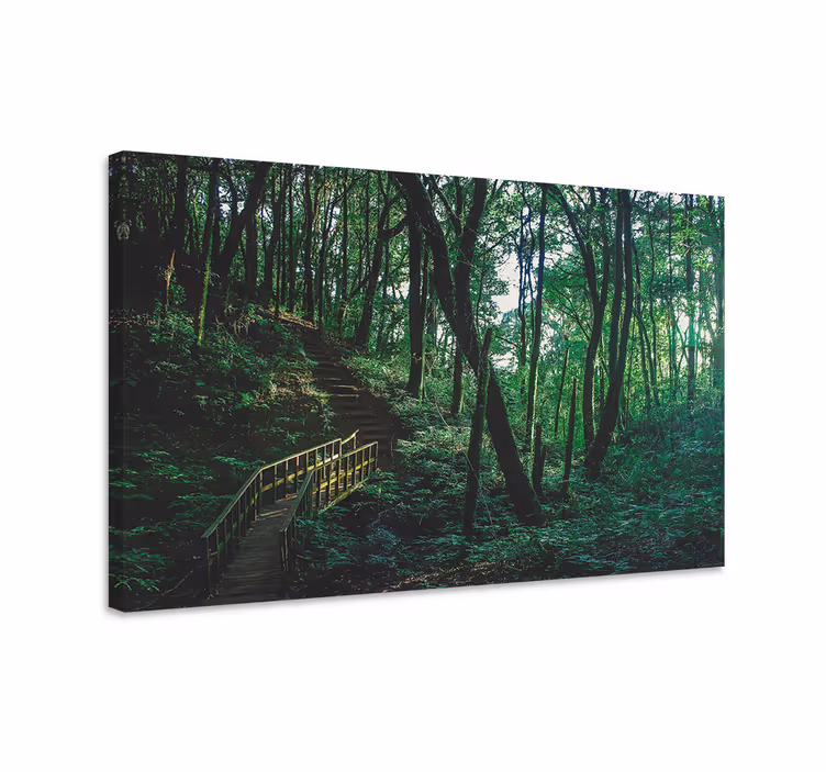 Cuadro paisajes sendero en el bosque - TenVinilo