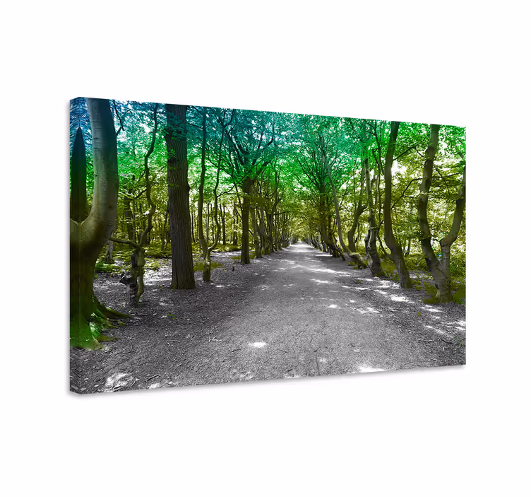 Cuadro paisajes Camino forestal verde soleado - TenVinilo